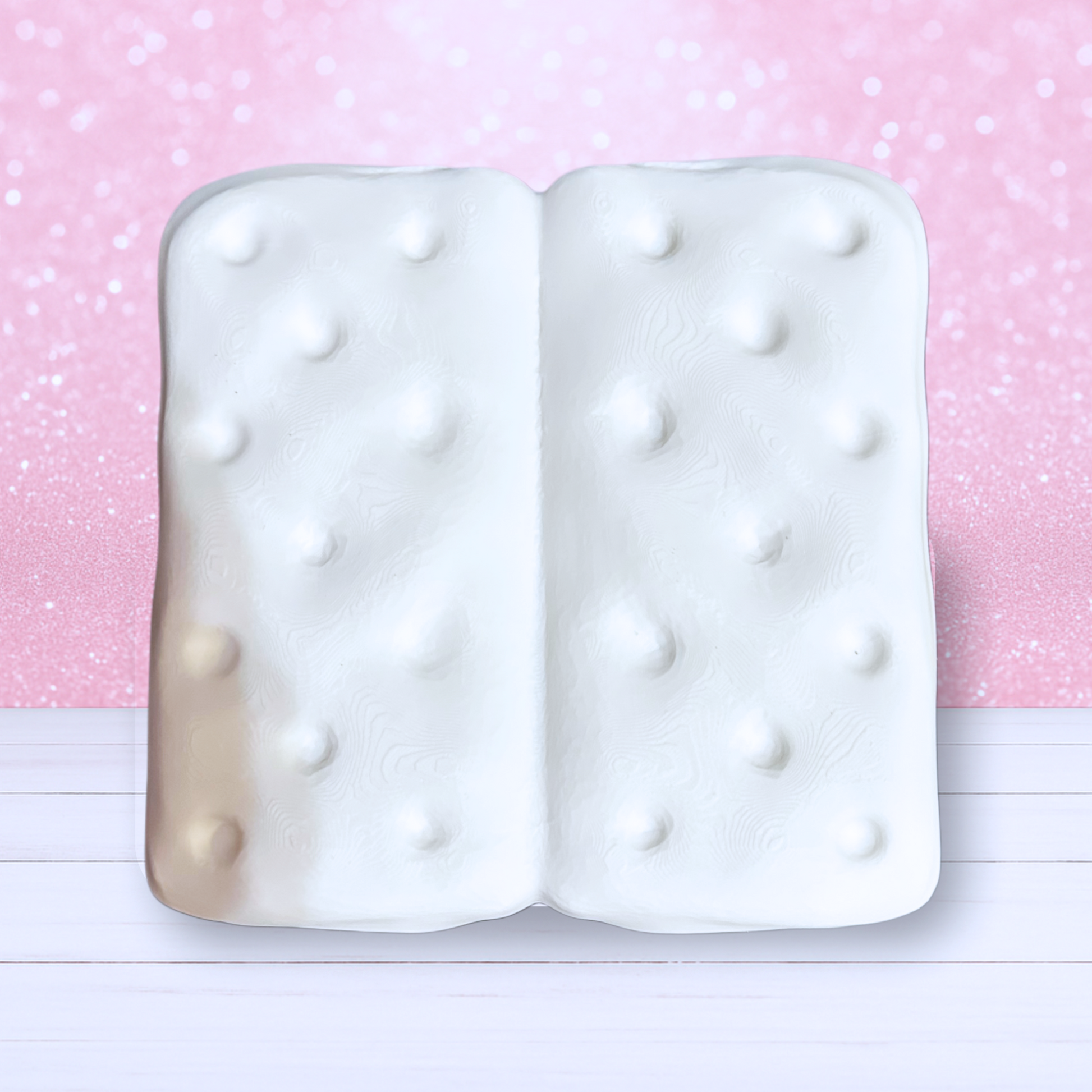 Giant Fake Graham Crackers - Set of 2 - Ready To Ship - Only 1 Set Available