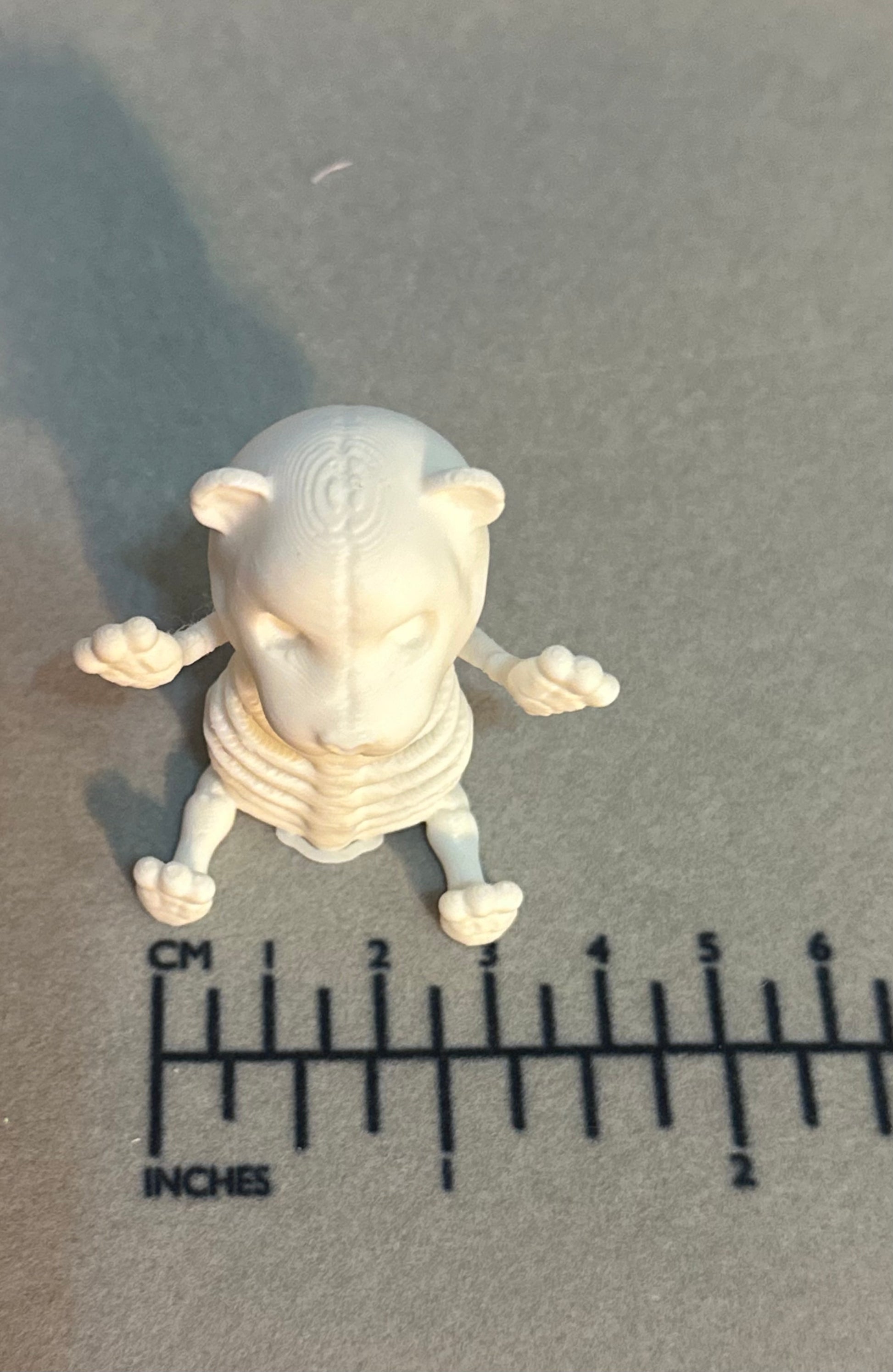 Mini Skeleton Bears Set of 6