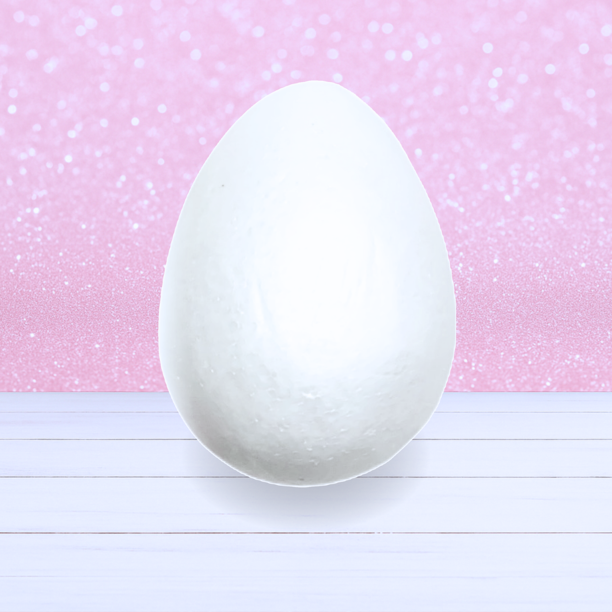 Polystyrene Egg (Jumbo)