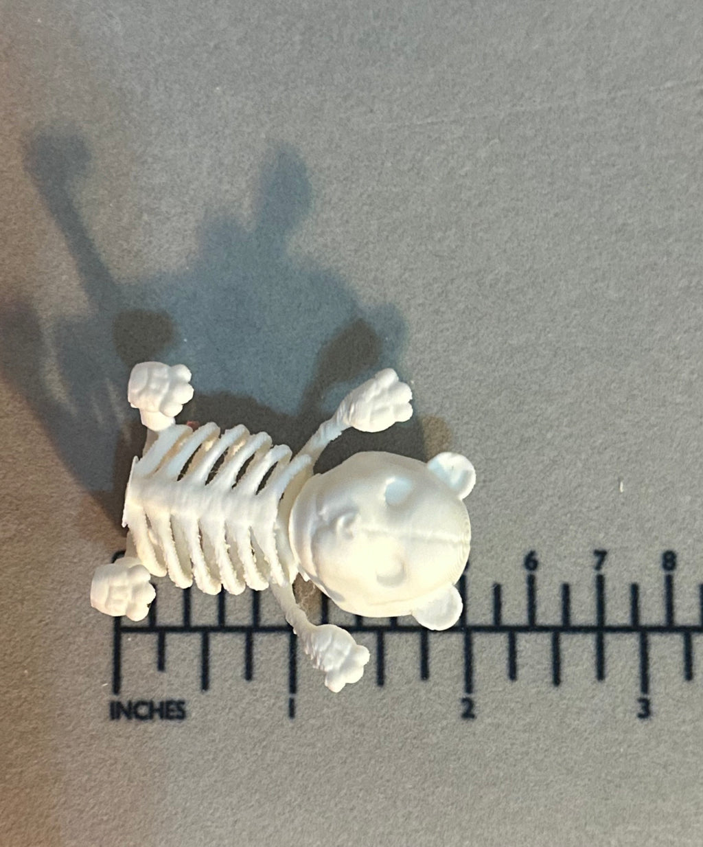 Mini Skeleton Bears Set of 6