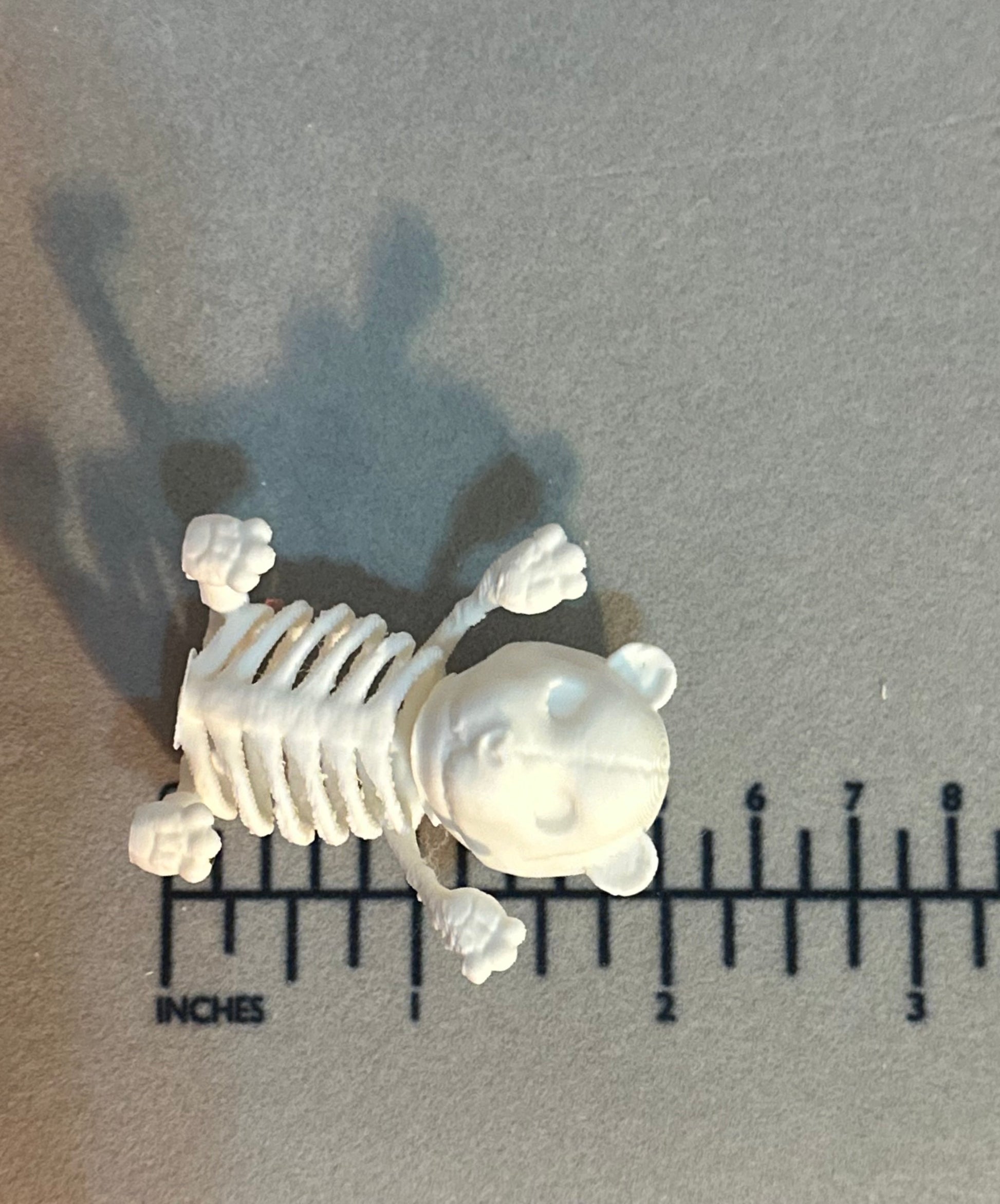 Mini Skeleton Bears Set of 6