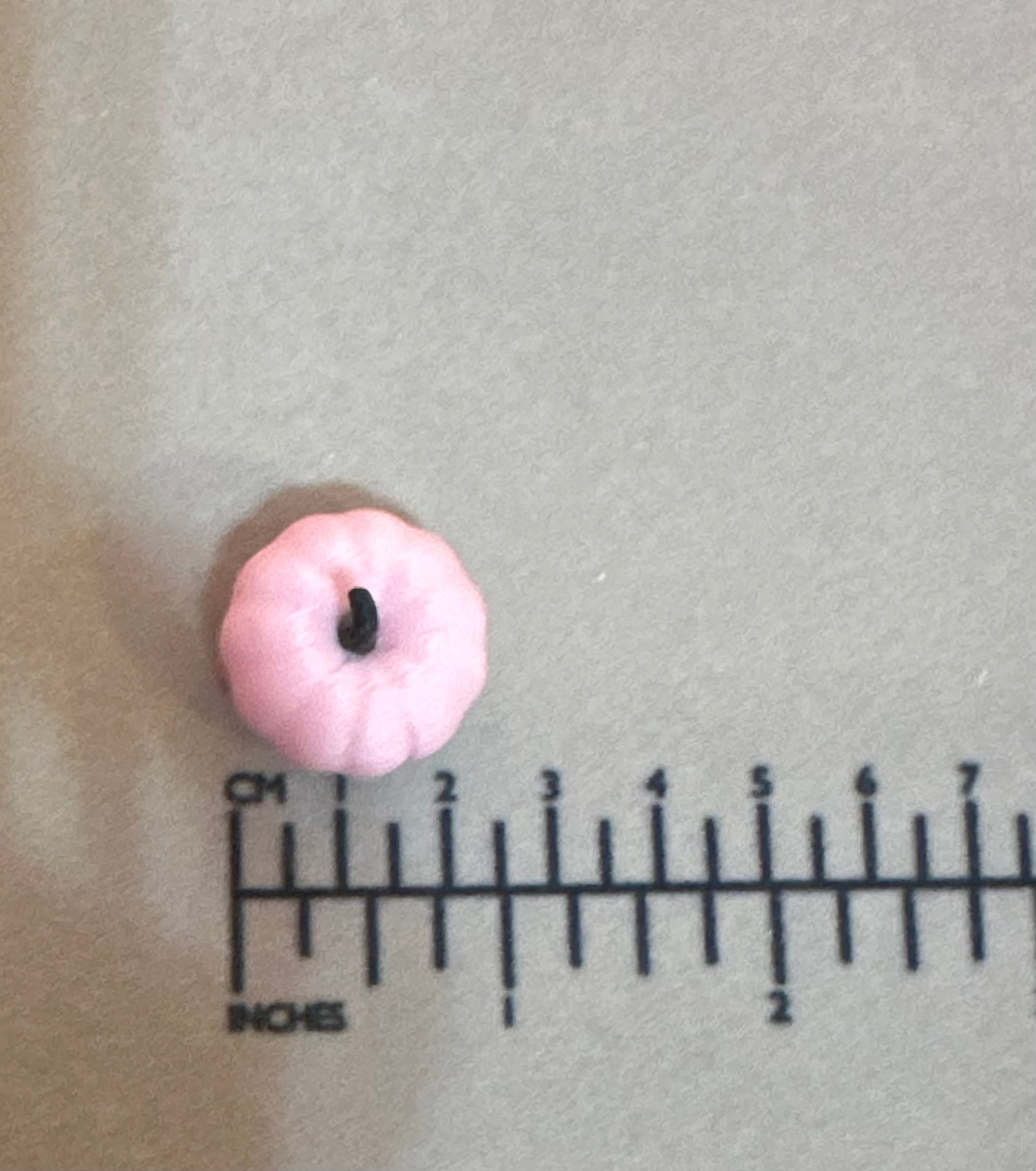 Mini Pink Pumpkins - Set of 8